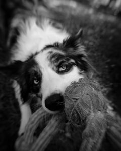 FCZKL-2024-A-Pawlowski-DSCF4117