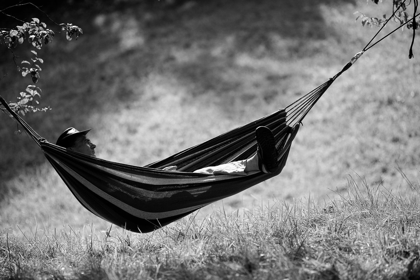 Tadeusz-Kiec-8 wybrHL5A6721